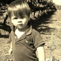 My little man hanging out in the vineyard